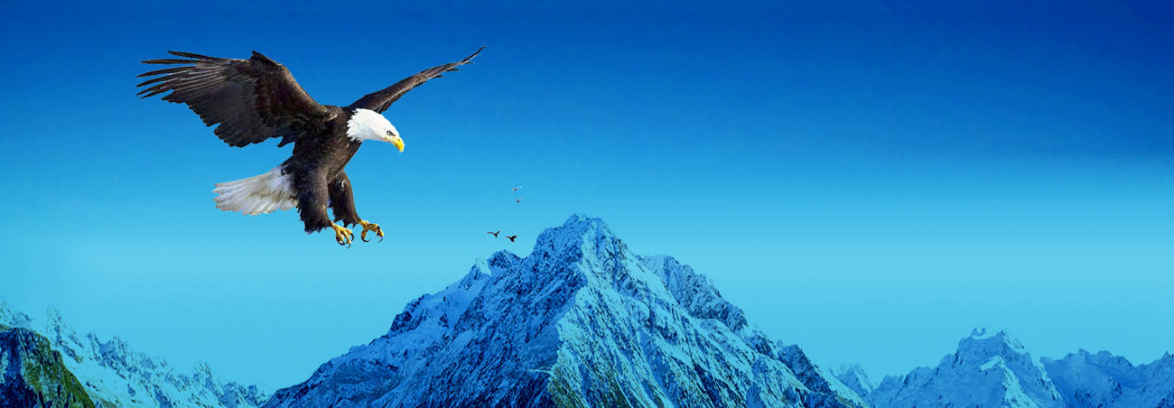 精品乱子伦一区二区三区